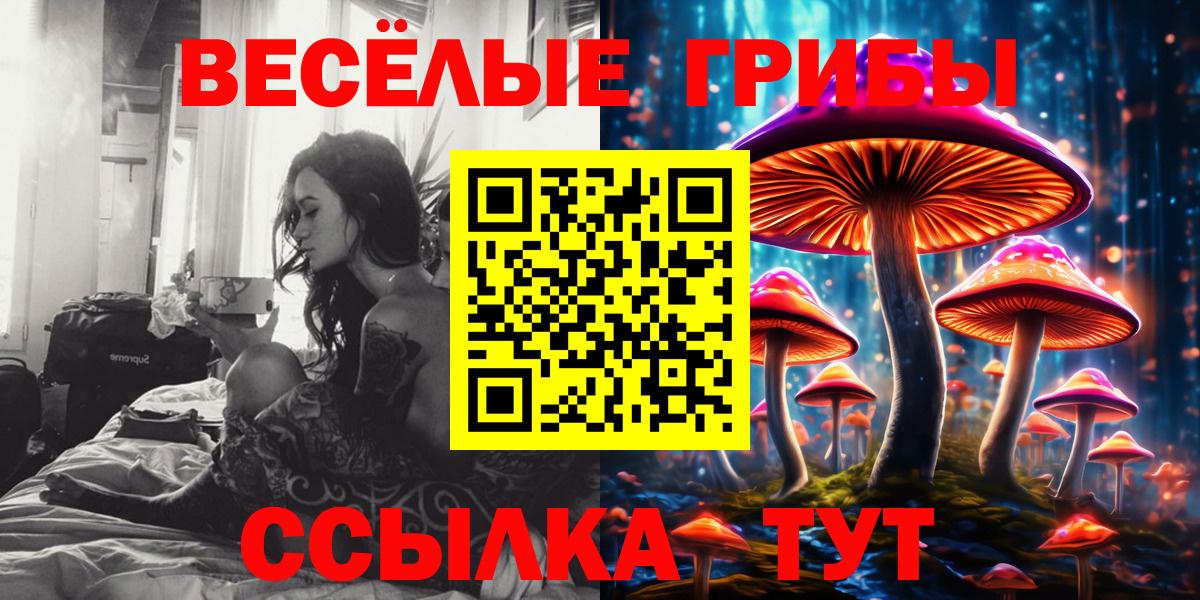 Галлюциногенные грибы ЛСД Алейск