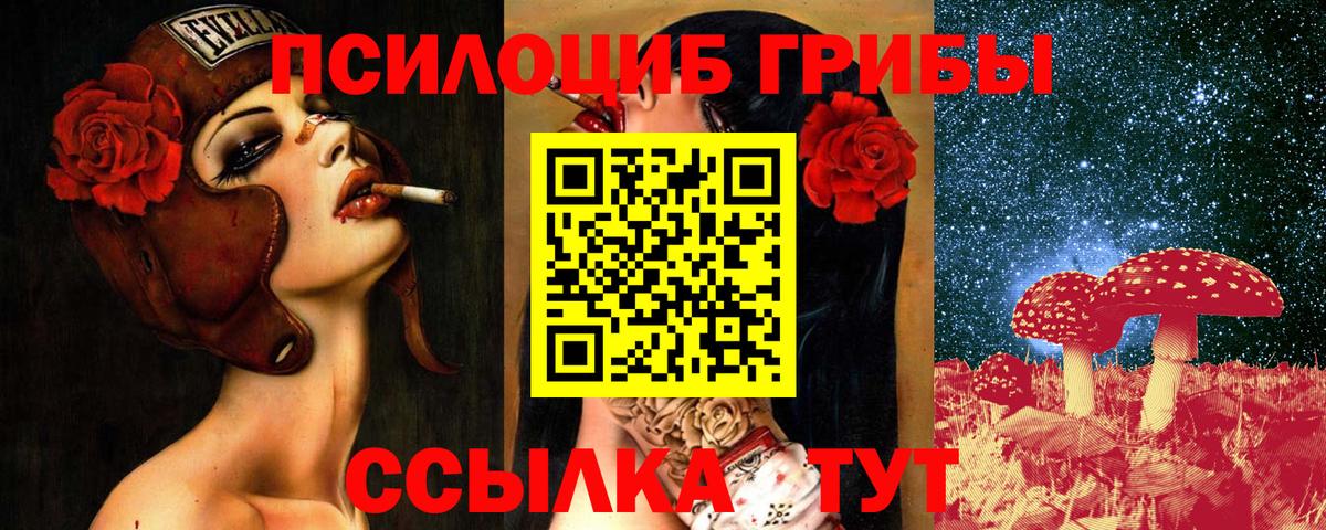 Алейск  Псилоцибиновые грибы Psilocybe  где найти наркотики  Вход с VPN 
